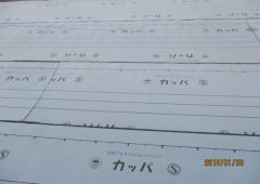 アスファルトルーフィング敷詰め