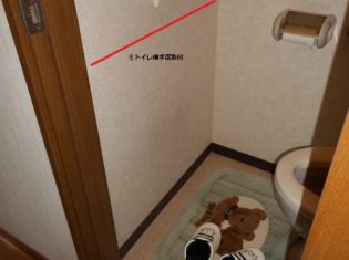 トイレ手すり取付前